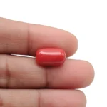 Red Coral Stone-6 Carat (6.61 Ratti)-Origin-Italy - Image 5