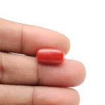 Red Coral Stone - 5.25 Carat (5.76 Ratti)-Origin-Italy - Image 4