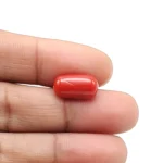 Red Coral Stone - 5.25 Carat (5.76 Ratti)-Origin-Italy - Image 3