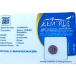 Natural Certified 13 Mukhi Rudraksha - Origin: Java Indonesia (Size:14-16 MM) - Image 3