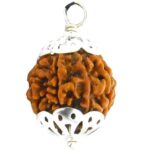Natural 5 Mukhi Nepal Rudraksha Pendant in Pure Silver (Bead Size: 16-19 MM)(Bead Size: 16-19 MM)