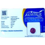 Natural Certified 9 Mukhi Rudraksha - Origin: Java Indonesia (Size:14-16 MM) - Image 3
