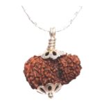 Natural Garbh Gauri Nepal Rudraksha Pendant in Pure Silver