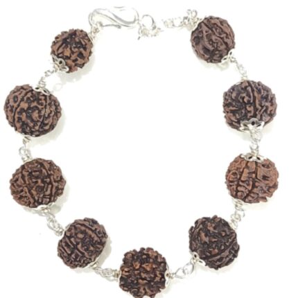 1-9 Mukhi Rudraksha Bracelet